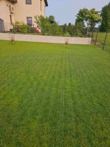 img 3dbd24b06a876ab777168e712658459d v